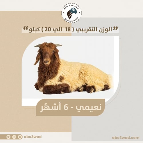 نعيمي - 6 أشهُر