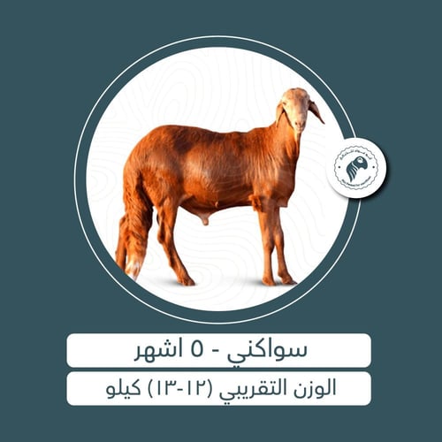 سواكني - 5 أشهُر