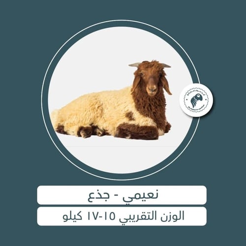 نعيمي 3 أشهر