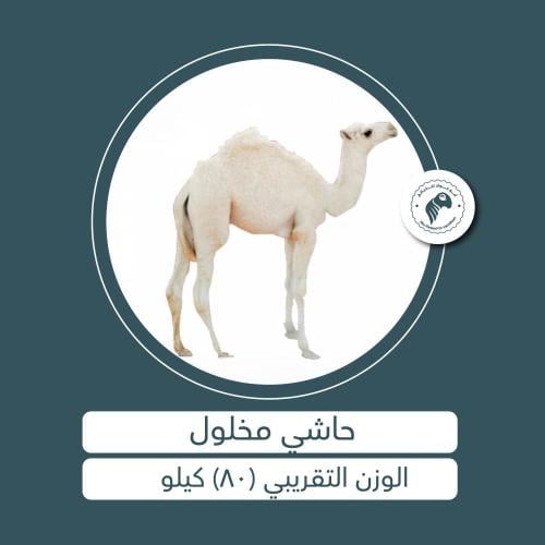 حاشي مخلول