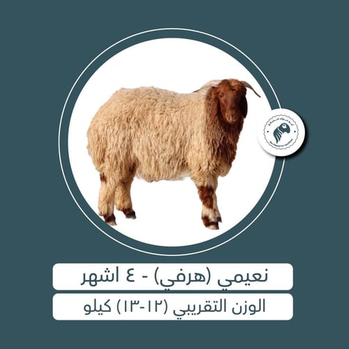 نعيمي - 4 أشهُر