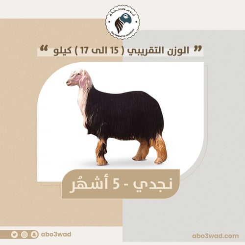 نجدي - 5 أشهُر