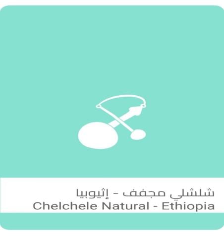 شلشلي - سلالات القهوة