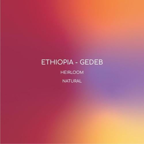 قيدب إثيوبيا محمصة إنلايت