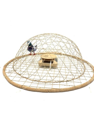 قرشع حمامة دوران يعمل ع نظام الطاقه الشمسيه مباشرة