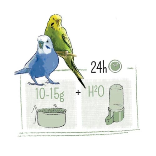 ويت مولين بيور للبادجي والطيور الصغيرة