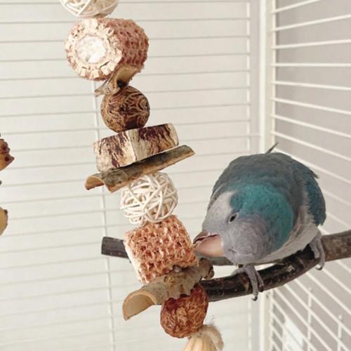 تعليقة عضوية داخل القفص