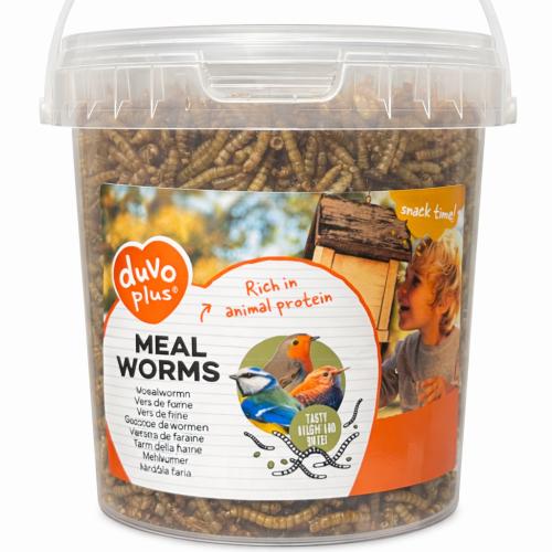 ديفو بلس دود قبابي مجفف