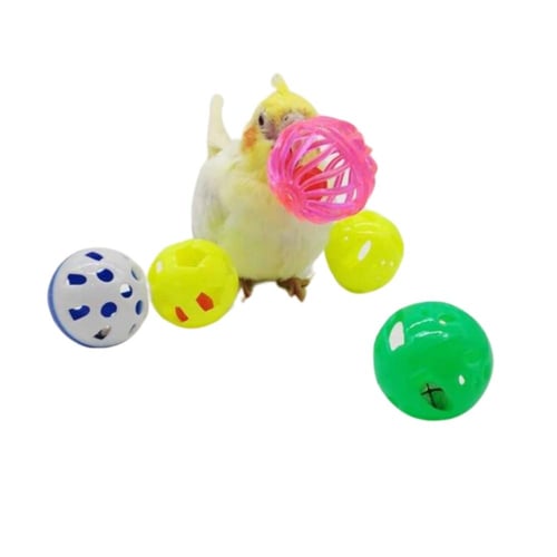 كرات للببغاء