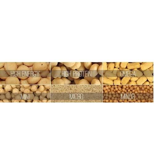 سيتاكوس ميني غذاء يومي متكامل الببغاوات المتوسطة و...