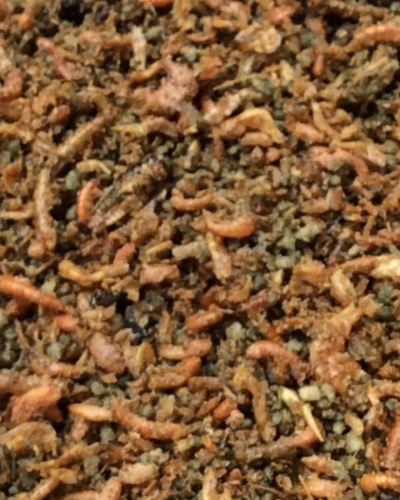 خلطة البروتينات من ديلي ناتشر لجميع الطيور(تعبئه ب...