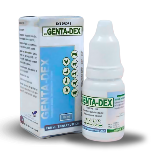 قطرة العين الفيتناميه للطيور