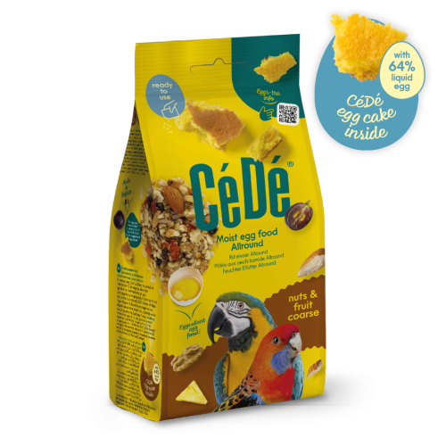 سي دي طعام بيض رطب بالمكسرات والفواكه