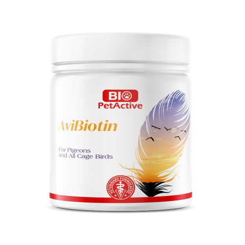 بايو بت اكتيف افي بيوتين