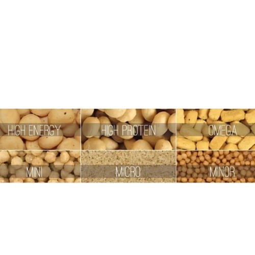 سيتاكوس اوميقا للببغاوات الكبيره والمتوسطه