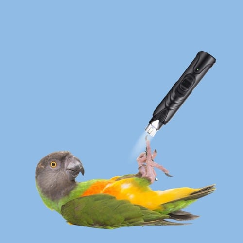 مبرد اظافر ومنقار الطيور بأضاءة