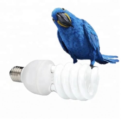 لمبة الاشعة فوق البنفسجية UVB للطيور