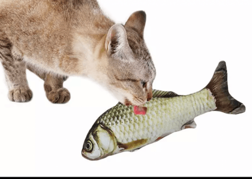 أسماك دمية محشوة للقطط