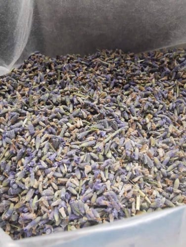 زهرة اللافندر وبراعم الخزامى 50 جرام