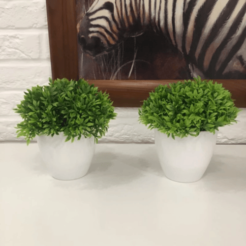 نبات شجرة البونساي الاصطناعي