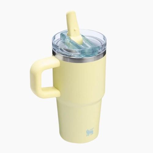 The Quencher ProTour Flip Straw Tumbler | 20 OZ (P...