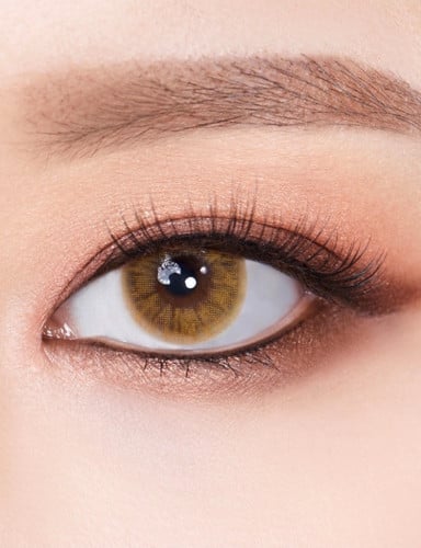 عدسات LOLOA لون العدسه : عسلي