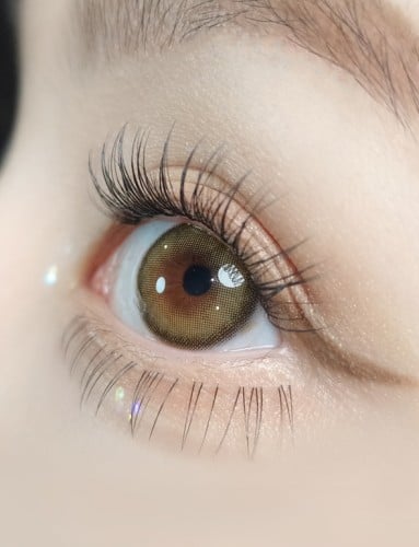 عدسات LOLOA لون العدسه : زيتوني محدد