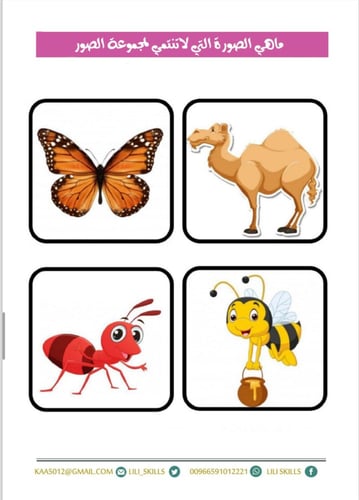 أنشطة ماقبل القراءة (( ما لاينتمي ))