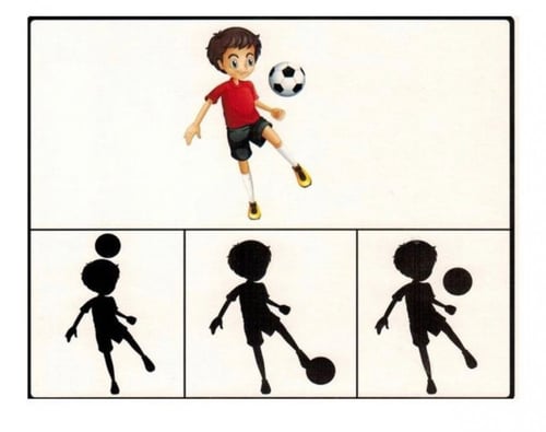 حقيبة الصورة والظل