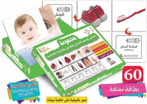 مجموعة الحواس وجسم الانسان والادوات الشخصية