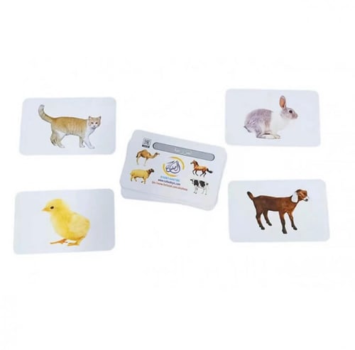 البطاقات الضمنية 21 مجموعة