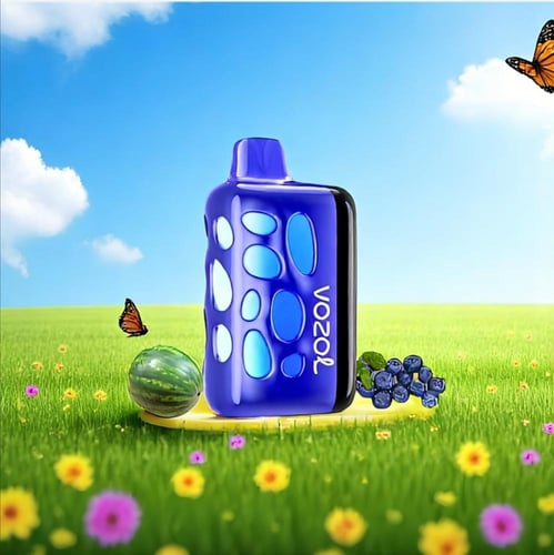 فوزول ريف 40K سحبة VOZOL RAVE 40K Puffs