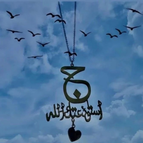 تعليقات سيارة حرف مع استوداعية