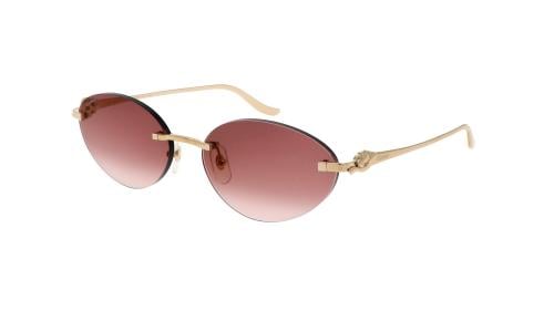CARTIER CT0504S