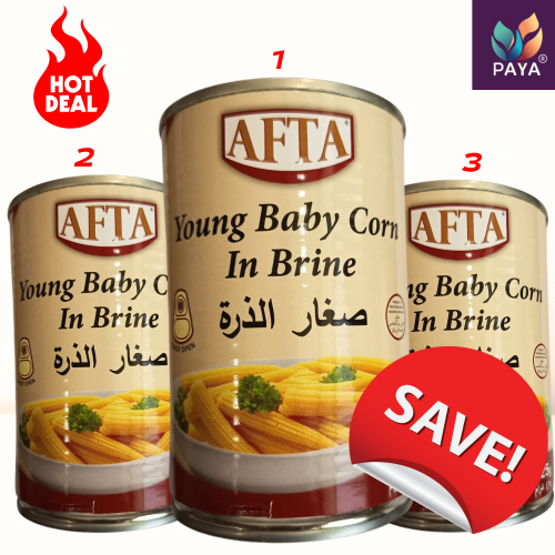 3Xصغار الذرة في محلول ملحي – Young Baby Corn in Br...