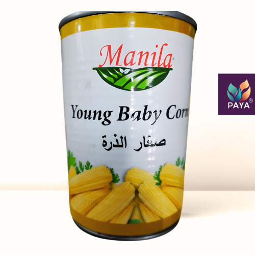 صغار الذره YOUNG BABY CORN MANILA