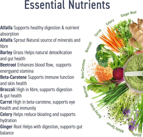 بديل الخضراوات ابلايد نيوتريشن كريتيكال جرينز بدون...