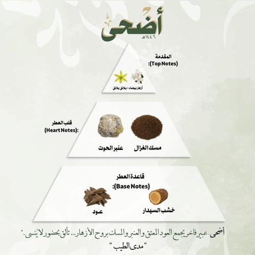 أضحى
