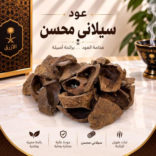 عود سيلاني محسن