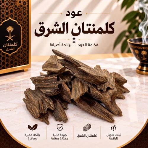 عود كلمنتان الشرق