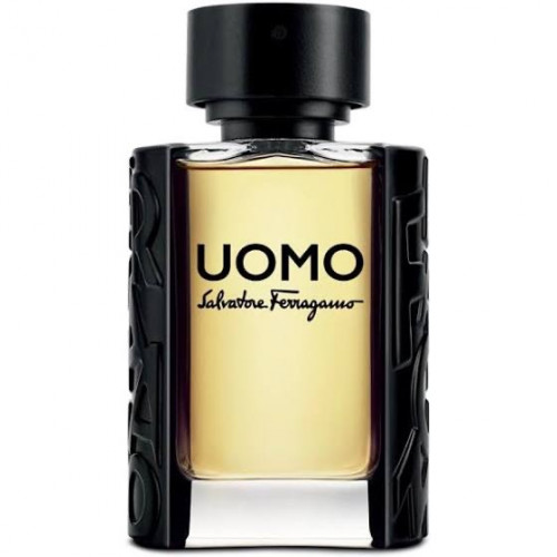 عطر سلفاتوري فيراغامو اومو او دو تواليت للرجال 100...