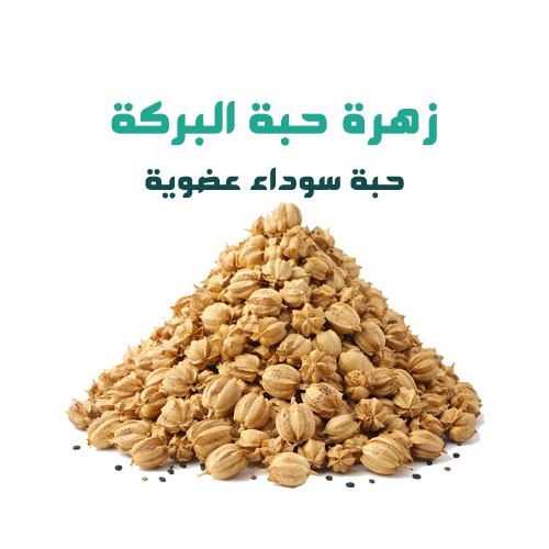 زهرة حبة البركة