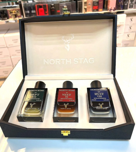 NORTH STAG Gift Set - 3 Perfumes 100 ML