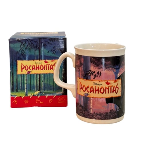 كوب ديزني ڤنتج - بوكاهنتس