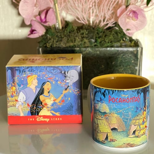 كوب ديزني ستور ڤنتج - بوكاهنتس