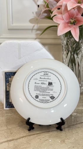 صحن فني - بوكاهنتس