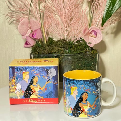 كوب ديزني ستور ڤنتج - بوكاهنتس