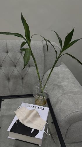 كمام حرير بيج كسره بمثبت انف