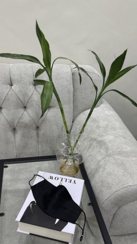 كمام حرير اسود كسره بمثبت آنف