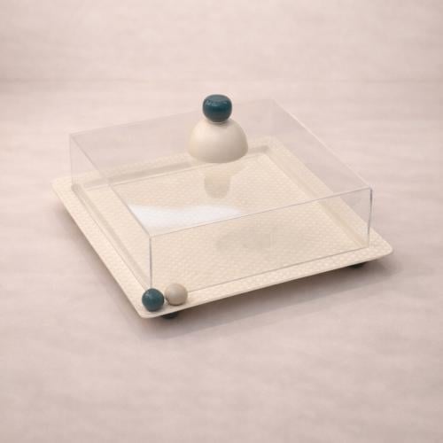 علبة تقديم مربعة بغطاء شفاف